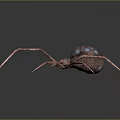 Realistic 3D Spider With Long Pink Legs Dark Body And Blue Spots On Dark Background