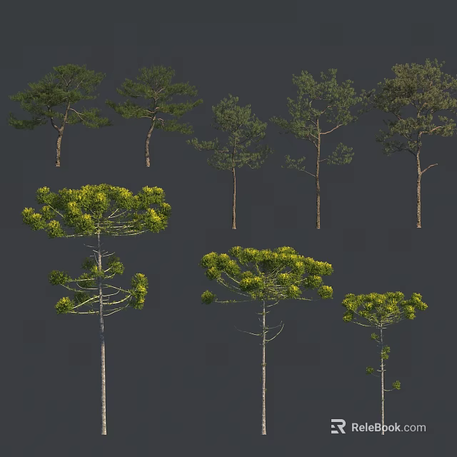 Diverse Green Arbor Trees With Different Crown Shapes Heights And Lush Foliage 3d model 
