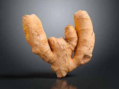 Fresh Raw Ginger Root Natural Vegetable Isolated on Gray Background 3d model