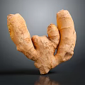 Fresh Raw Ginger Root Natural Vegetable Isolated on Gray Background 3d model