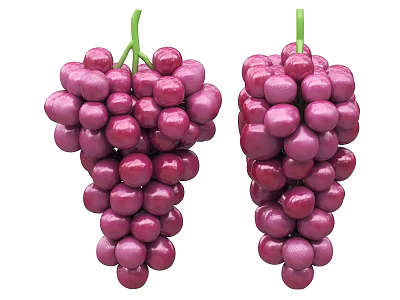 Fresh Plump Purple Grapes on Green Vines Juicy Bunches Healthy Fruit 3d model