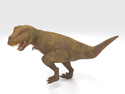 Tyrannosaurus rex dinosaur ancient creature animal 3d model