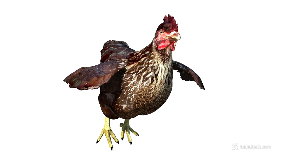 Brown Feathered Chicken With Red Comb Spread Wings And Yellow Claws On White Background 3d model 