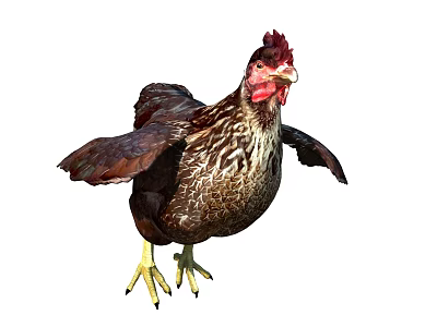 Brown Feathered Chicken With Red Comb Spread Wings And Yellow Claws On White Background 3d model
