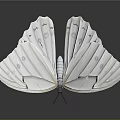 Elegant White Butterfly With Delicate Patterns On Wings Displaying Open Against Dark Background