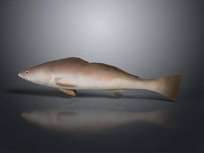 Brown And Light Brown Fish Lying On Gray Background With Smooth Surface Reflection 3d model
