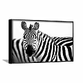 Black and White Zebra Animal Painting Framed Artwork on Brown Wall Decor