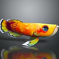 Colorful Artistic Fish With Vibrant Colors Large Eye Fins Tail And Dark Background Reflection