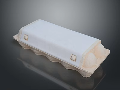 Fresh Chicken Eggs in White Paper Egg Carton with Egg Holders 3d model