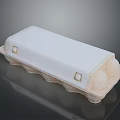 Fresh Chicken Eggs in White Paper Egg Carton with Egg Holders