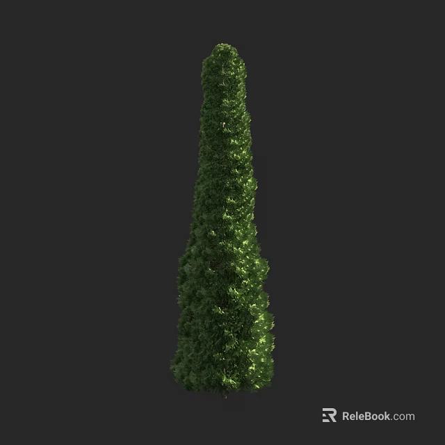 Tall Evergreen Arborvitae Tree With Dense Foliage And Vertical Growth For Landscaping 3d model 