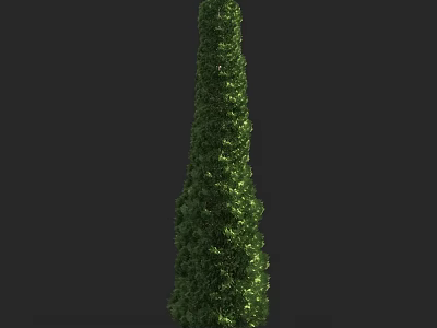 Tall Evergreen Arborvitae Tree With Dense Foliage And Vertical Growth For Landscaping 3d model