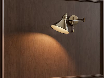 Modern Wall Lamp With Conical Shade Mounted On Dark Wooden Wall Soft Lighting 3d model