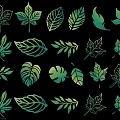 Various Green Leaf Illustrations With Different Shapes On Dark Background 3d model