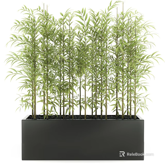 Green Bamboo Potted Plant In Black Rectangular Container With Lush Leaves 3d model