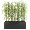 Green Bamboo Potted Plant In Black Rectangular Container With Lush Leaves 3d model
