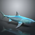 Realistic Blue Shark Aquatic Animal 3D Model In Swimming Pose With Shiny Skin And Reflection
