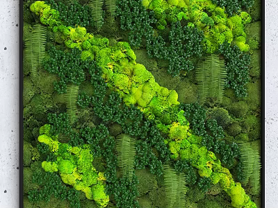 Lush Vertical Green Wall With Diverse Moss Ferns And Vibrant Plant Foliage 3d model