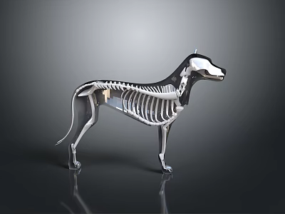 Modern Metallic Dog Sculpture With Skeleton Structure Sleek Lines And Reflective Surface 3d model