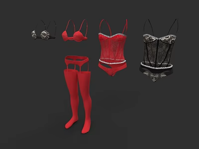 Fashionable Lingerie Collection with Red Black Lace Bras Corsets and Stockings 3d model