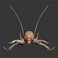 Striped Reptile with Elongated Appendages on Black Background Detailed View
