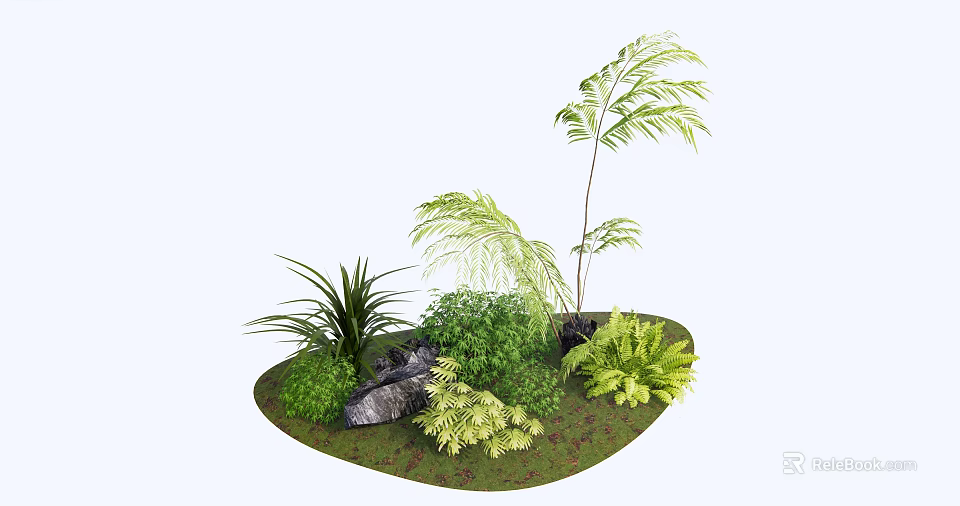3D Rendered Green Plants Landscape With Ferns Palm and Stone in Circular Area 3d model 