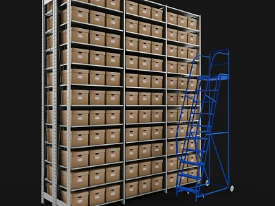 Metal Display Shelves With Multiple Layers Filled With Boxes And Blue Ladder 3d model