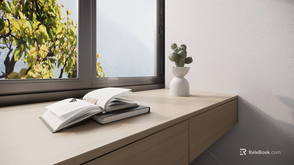 Decorative Ornament Combination With Open Book Closed Book And White Cactus Pot On Wooden Windowsill 3d model 