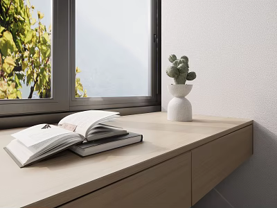 Decorative Ornament Combination With Open Book Closed Book And White Cactus Pot On Wooden Windowsill 3d model