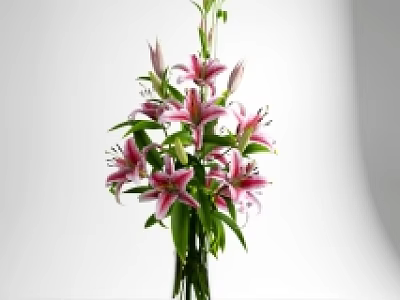 Pink Lily Flowers Arrangement in Transparent Glass Vase with Green Leaves and Buds 3d model