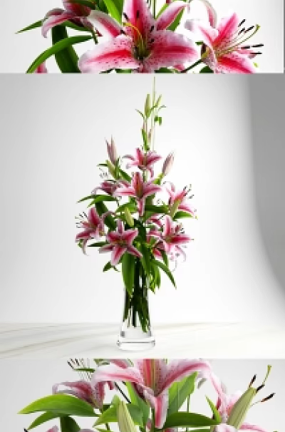 Pink Lily Flowers Arrangement in Transparent Glass Vase with Green Leaves and Buds 3d model