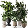 Assorted Potted Green Plants With Stylish Decorative Pots In Black White And Woven Designs