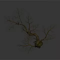 Withered Tree Decorative Ornament With Twisted Trunk And Bare Branches