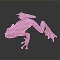 Frog Poison Frog Game Frog Reptile Cold Blooded Animal Reptile 3d model