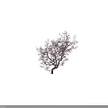 Beautiful Ornamental Tree with Purple Blossoms Twisted Trunk and Person Silhouette