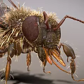 modern bee insect 3d model
