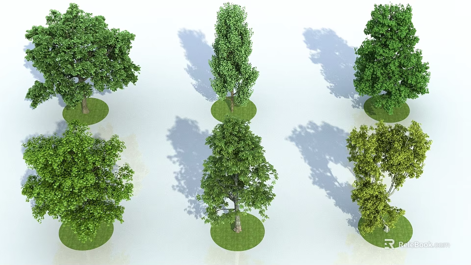Six Various Shapes Arbor Trees Growing On Circular Lawns With Shadows Against White Background 3d model 