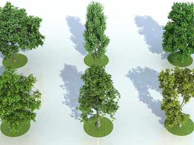 Six Various Shapes Arbor Trees Growing On Circular Lawns With Shadows Against White Background 3d model