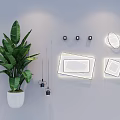 Modern Square And Round Ceiling Lights With Wall Decor And Green Plant