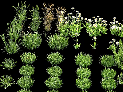 Various Lush Green Grasses And White Flowers In Natural Garden Plant Collection 3d model
