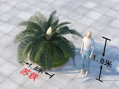 Modern cystacean plants 3d model Modern cystacean plants 3d model