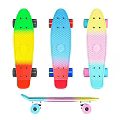 Colorful Gradient Cruiser Skateboards Sports Equipment With Vibrant Wheels And Designs