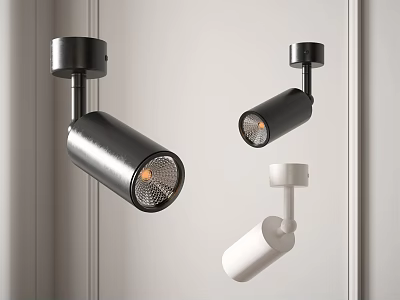 Modern Downlights and Spotlights in Black and White for Interior Lighting Design 3d model