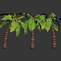 Three Green Leaf Palm Trees With Brown Textured Trunks On Dark Background 3d model