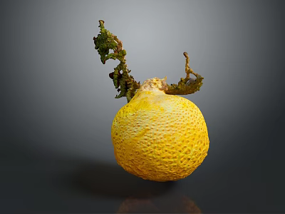Yellow Citrus Fruit With Rough Surface And Dried Stems On Dark Background 3d model
