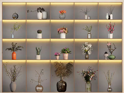 Various Decorative Vases With Flowers And Plants On Illuminated Wall Mounted Shelves 3d model