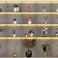 Various Decorative Vases With Flowers And Plants On Illuminated Wall Mounted Shelves