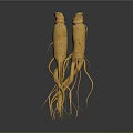 Two High Quality Natural Fresh Ginseng Roots As Daily Life Health Products