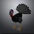 Turkey 3D Model With Blue Head Red Wattle Spread Tail Feathers And Yellow Eyes