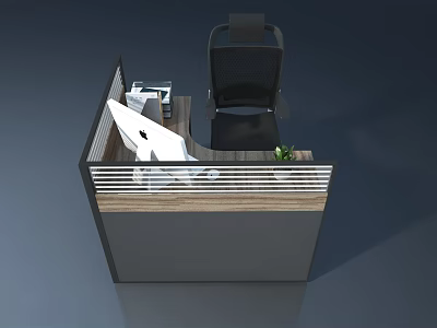 Swing Door Design In Modern Office Cubicle With Desk Chair And Potted Plant 3d model